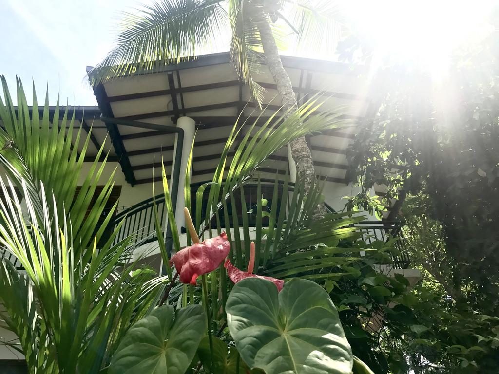 Mount Nature Villa Hikkaduwa Oda fotoğraf